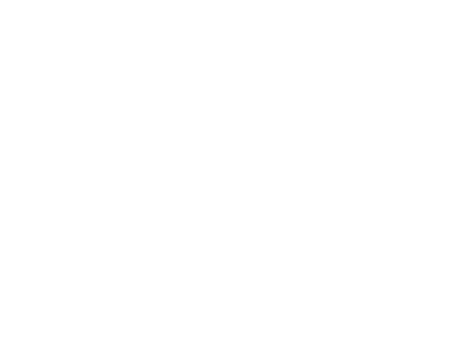 All white BI WORLDWIDE logo